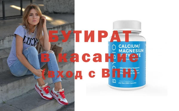 стаф Ельня
