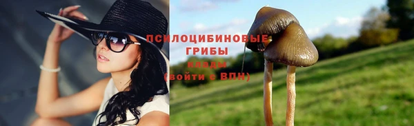 мяу мяу мука Зеленодольск