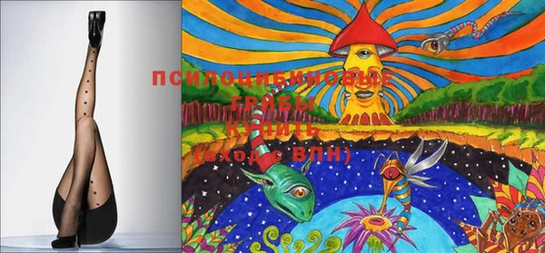 бошки Инта