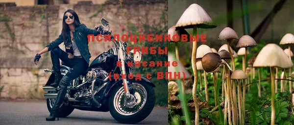 бошки Инта