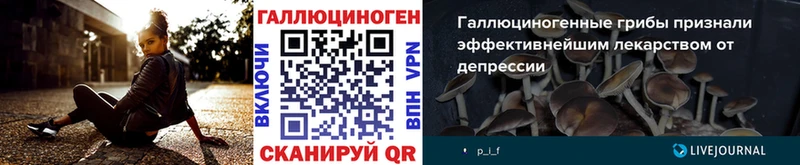 Псилоцибиновые грибы GOLDEN TEACHER  что такое   Ладушкин 